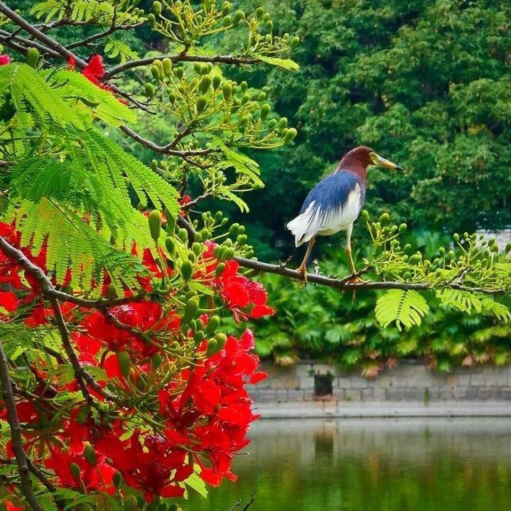 初夏吃什么好？